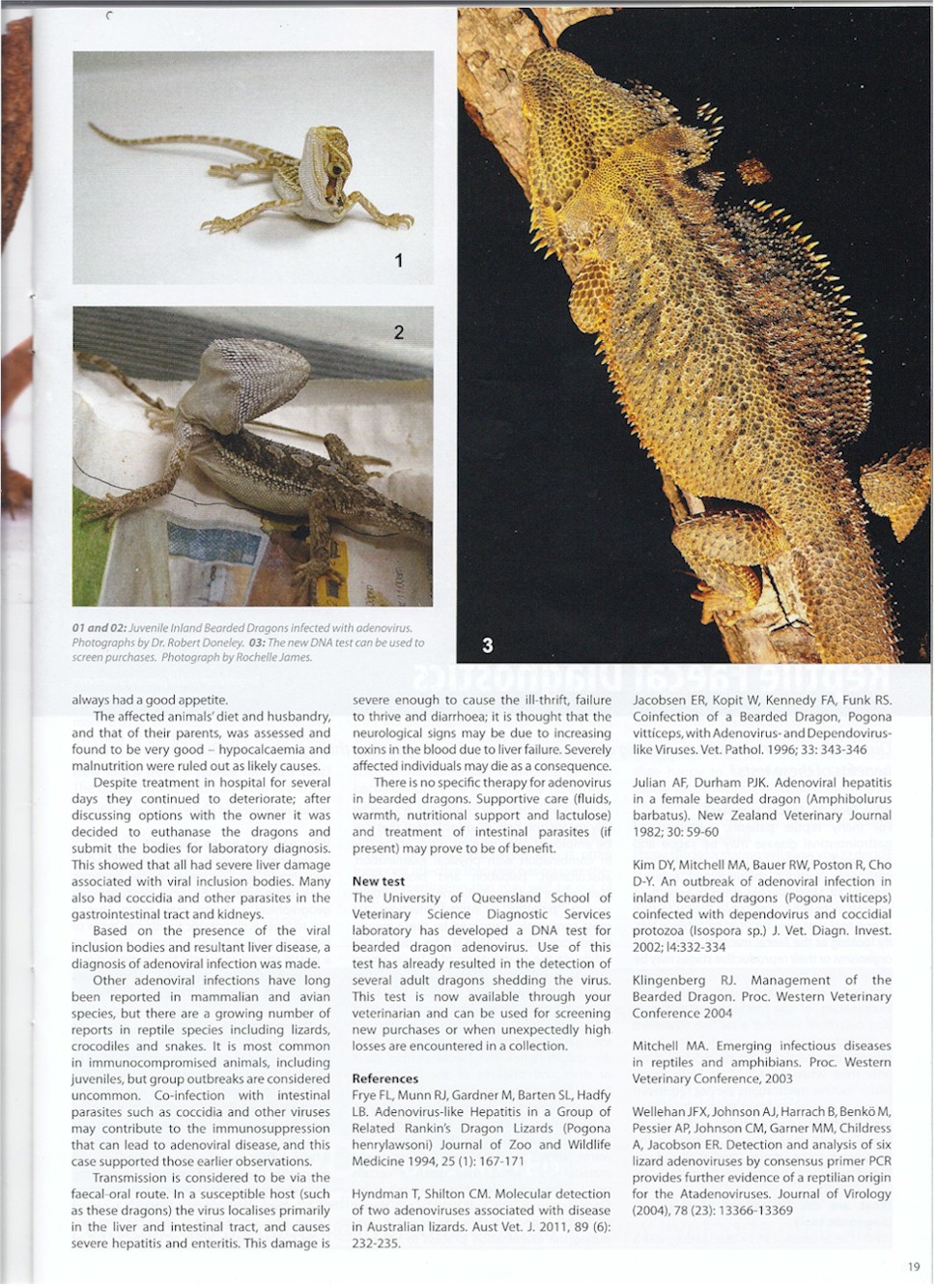 Adeno Article Page 2